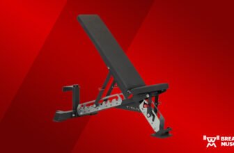 Titan Collection Adjustable Bench Assessment (2025)