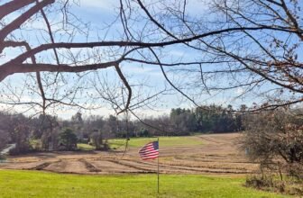 The Little Issues E-newsletter #449 – Life, laughter, and plenty of nice meals!