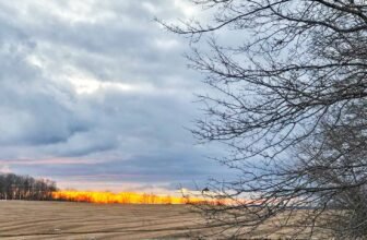 The Little Issues E-newsletter #454 – Life, laughter, and many nice meals!