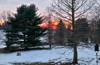 The Little Issues E-newsletter #455 – Life, laughter, and plenty of nice meals!