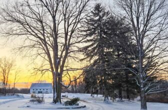 The Little Issues Publication #457 – Life, laughter, and plenty of nice meals!