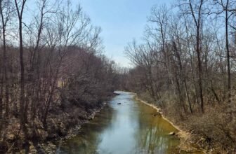 The Little Issues Publication #460 – Life, laughter, and many nice meals!