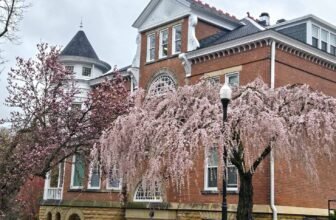 The Little Issues E-newsletter #463 – Life, laughter, and plenty of nice meals!