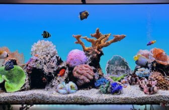 You do not want a brand new Roku; it’s essential clear the cache