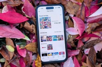 Nintendo simply quietly launched a enjoyable technique to revisit your 3DS and Wii U days