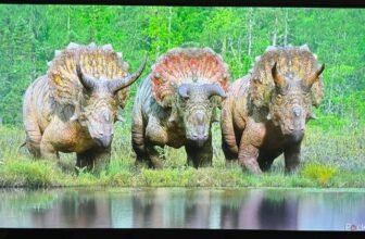 This LG TV is massive on vivid colours however lacks particulars at the hours of darkness