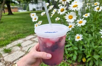 Straightforward Mocktails – Barefeet within the Kitchen